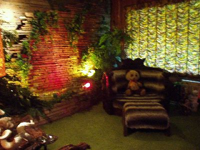 Elvis's jungle room
