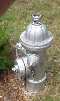 Silver hydrant