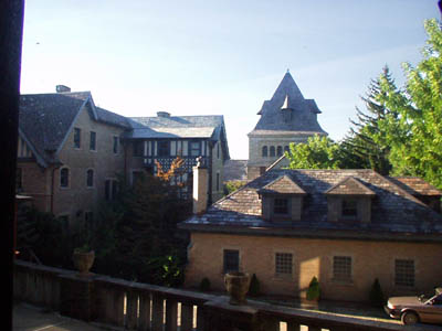View Out downstairs window