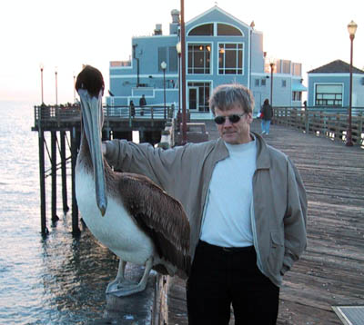 Billy Pelican!