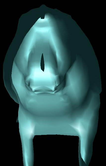 Cow - Seen from inside (lit on inside)