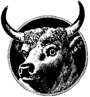 Bull Head