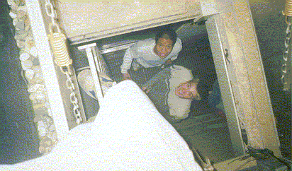 A view from the Ladder