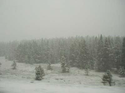 Blizzard