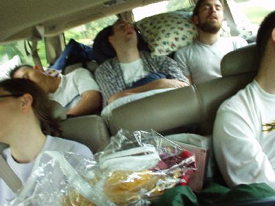 Sleeping beauties