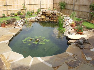 The fish pond
